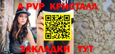 спиды Гусев