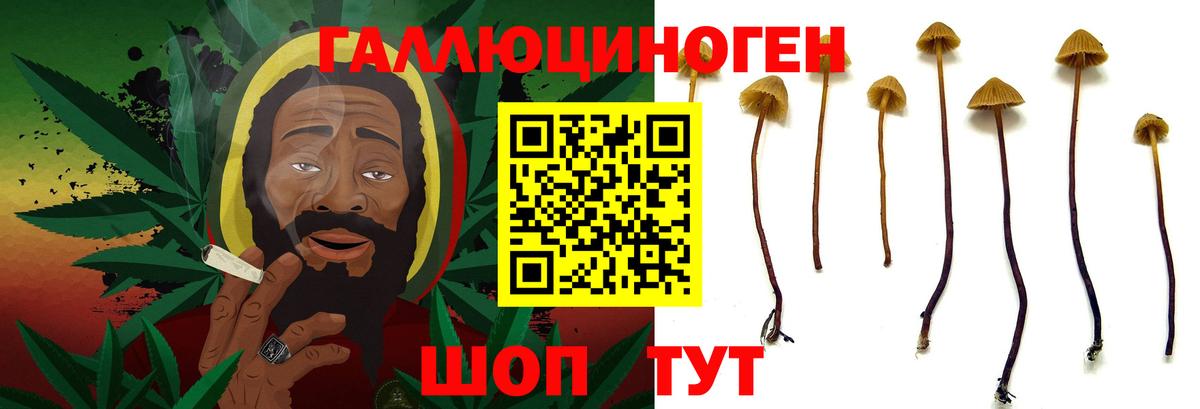 Нижний Тагил  дарнет шоп  Псилоцибиновые грибы ЛСД  Вход с VPN  Псилоцибиновые грибы GOLDEN TEACHER 